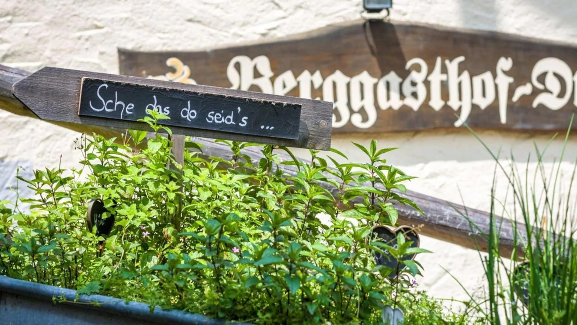 Berggasthof Hotel Duftbraeu I Ruhige Alleinlage I Mitten Im Gruenen Samerberg